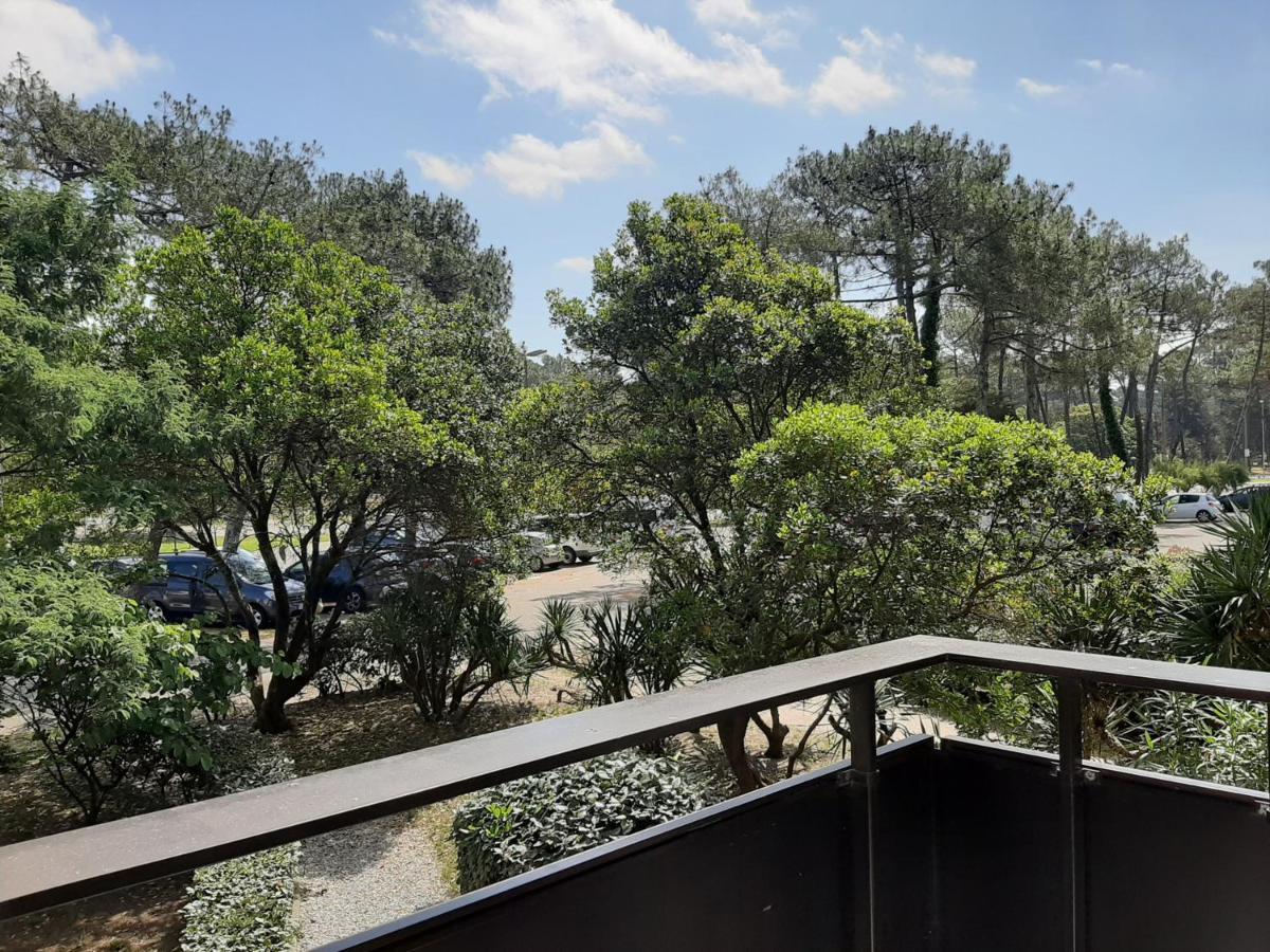 Studio Cosy Proche Ocean Et Commerces, Parfait Pour Des Vacances A Deux! - Fr-1-239-437 Seignosse Exterior foto