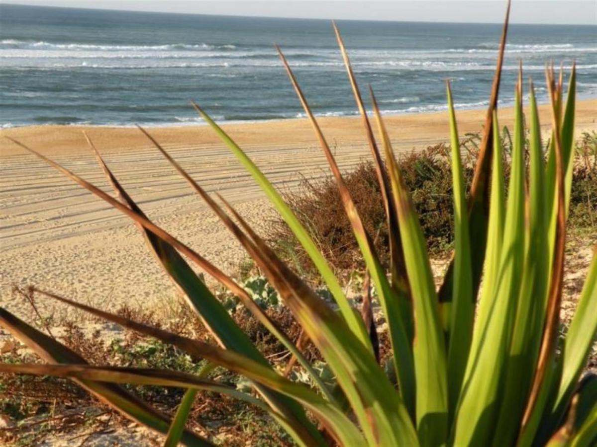 Studio Cosy Proche Ocean Et Commerces, Parfait Pour Des Vacances A Deux! - Fr-1-239-437 Seignosse Exterior foto