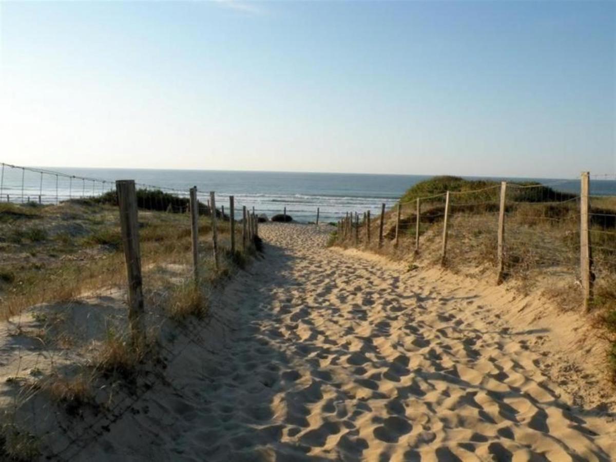 Studio Cosy Proche Ocean Et Commerces, Parfait Pour Des Vacances A Deux! - Fr-1-239-437 Seignosse Exterior foto