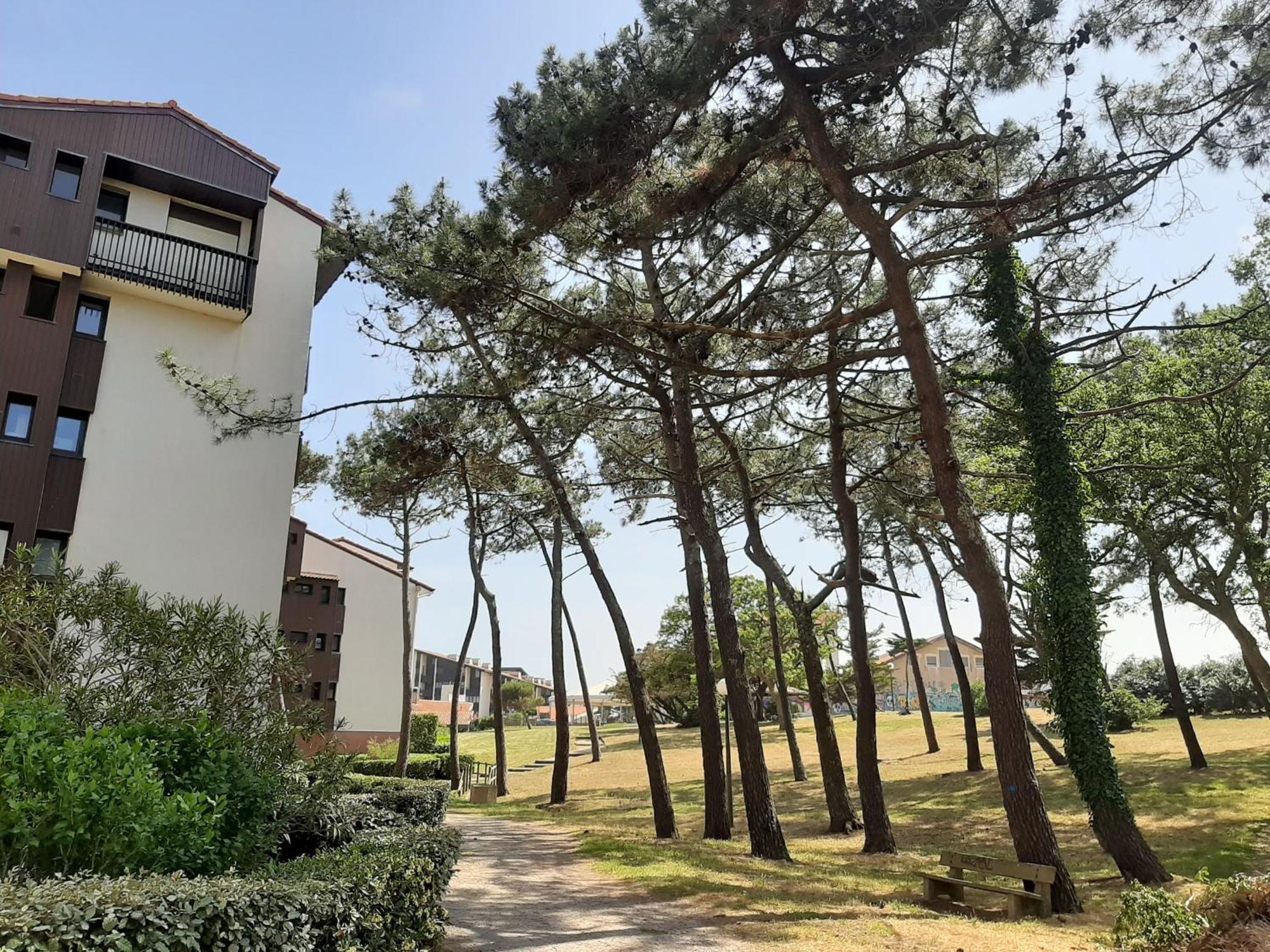 Studio Cosy Proche Ocean Et Commerces, Parfait Pour Des Vacances A Deux! - Fr-1-239-437 Seignosse Exterior foto